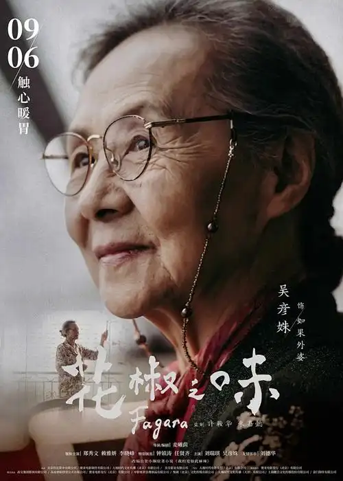 动漫H铁翼纪元全集